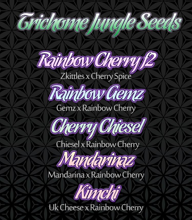 Rainbow Gemz Regular