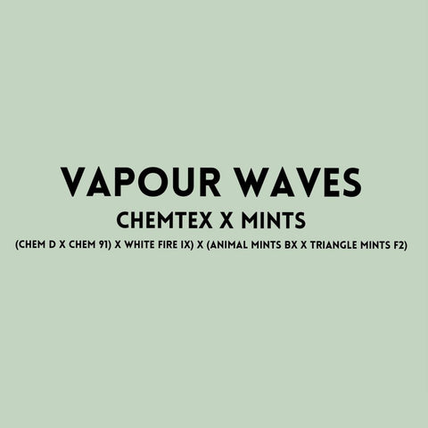 Vapour Waves Regular *Sample Pack*