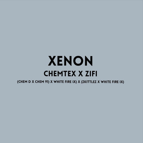 Xenon Regular *Sample Pack*