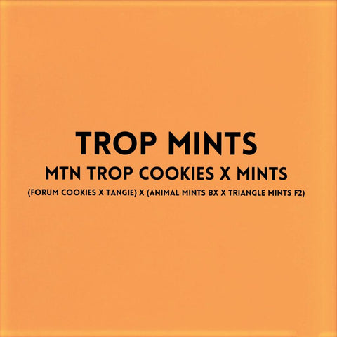 Trop Mints Regular *Sample Pack*