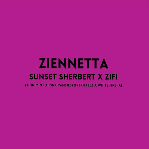 Ziennetta Regular *Sample Pack*