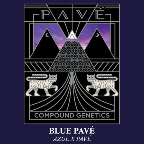 Blue Pavé Feminized