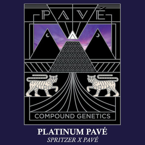 Platinum Pavé Feminized