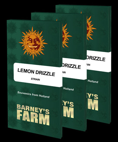 Lemon Drizzle Feminized