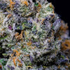 Purple Pop Rocks Feminized