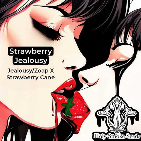 Strawberry Jealousy Feminized