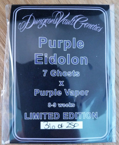 Purple Eidolon Regular