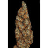 Rainbow Road Feminized