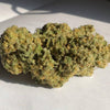 Sherbert Pebbles Feminized