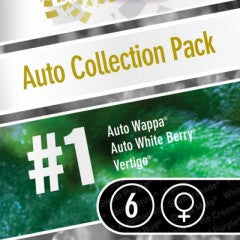 Auto Collection Pack 1