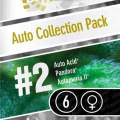 Auto Collection Pack 2