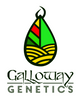 Nephilim - Galloway Genetics Freebie