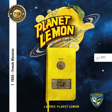 Planet Lemon Feminized