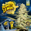 Planet Lemon Feminized