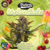 MelonSicle Feminized